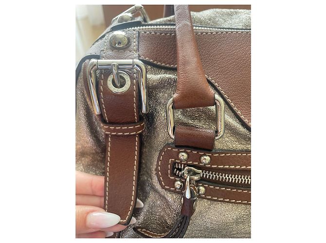 Borsa a mano Dolce & Gabbana Miss Easy Way in pelle metallizzata Metallico - vista 3