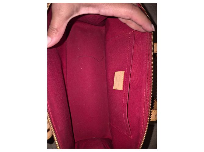 Borsa Louis Vuitton rosewood Bordò - vista 5