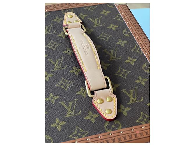 Boite à flacons louis Vuitton Marron - vue 4