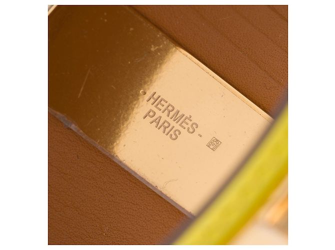 Hermès Coleira de cachorro crocodilo amarelo joias HERMES - 101923 - vista 9