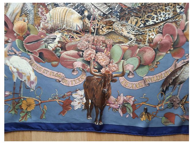 Hermès Carré/Foulard intitolato "Fauna e Flora del Texas" di Olivier Kermit Multicolore - vista 10