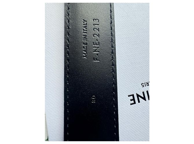 Céline Celine triumphs - view 11