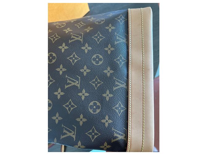 Noe Borsa a mano Louis Vuitton Noé Marrone in Tela - vista 5