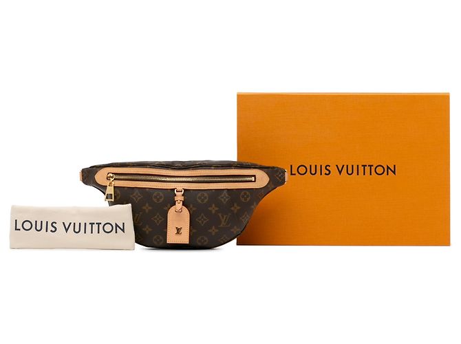 Bumbag Marsupio a vita alta con monogramma marrone Louis Vuitton - vista 13