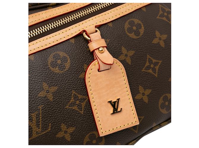 Bumbag Marsupio a vita alta con monogramma marrone Louis Vuitton - vista 9