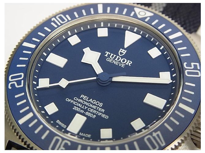 Autre Marque TUDOR Pelagos FXD Titanio 25707B/24 Uomo Argento - vista 2