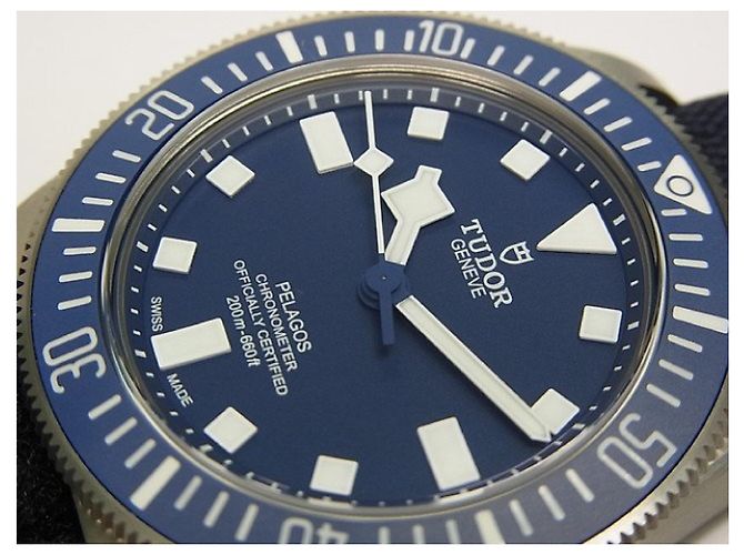 Autre Marque TUDOR Pelagos FXD Titanio 25707B/24 Uomo Argento - vista 3