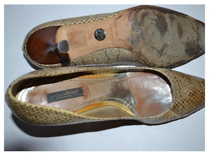 Dolce & Gabbana Python Pumps Beige Größe 38 - Ansicht 5