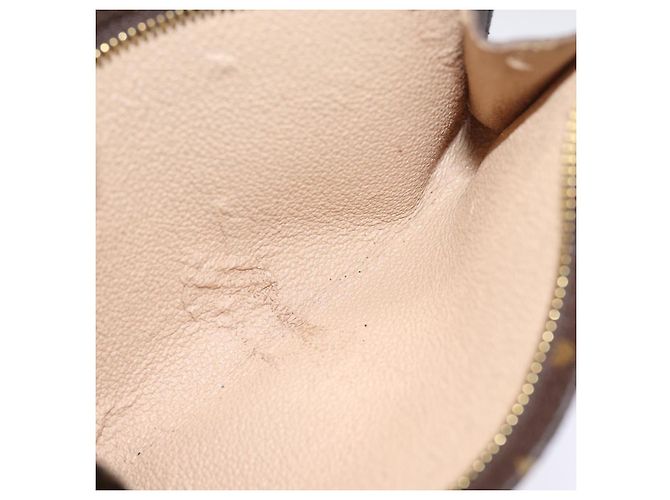 LOUIS VUITTON Monogram Bucket PM Pouch Accessory Pouch LV Auth fm3453 Monograma - vista 10