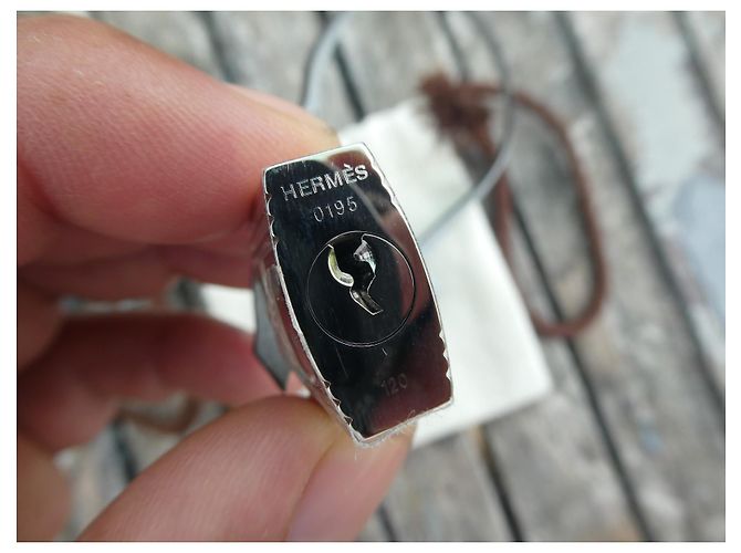 campanella, cerniera e lucchetto hermès nuovo per borsa hermès dustbag Grigio - vista 4