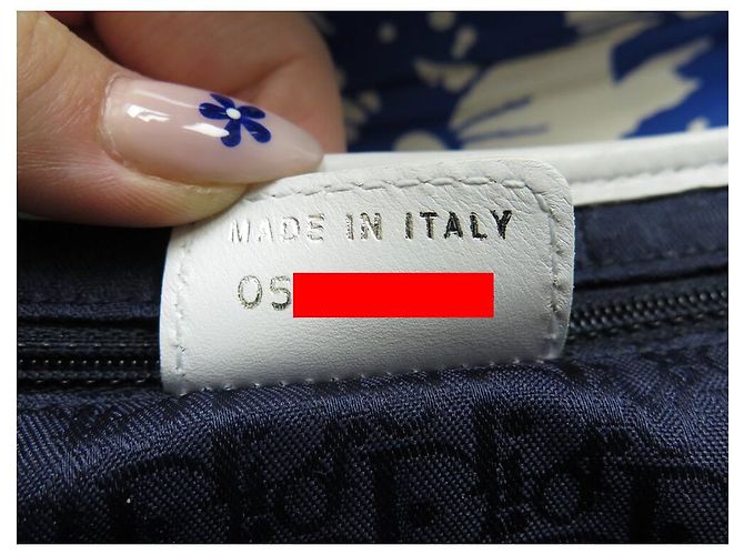 BORSA A MANO CHRISTIAN DIOR SADDLE TESSUTO FLORALE GALLIANO BLU - vista 10