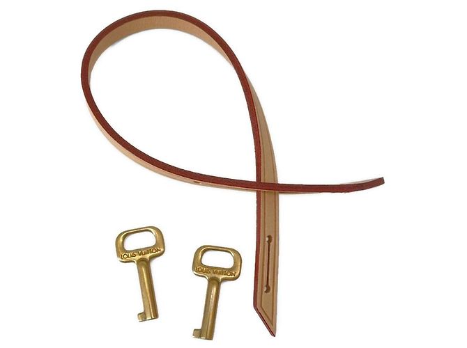 Louis Vuitton Schatzkiste Braun - Ansicht 7