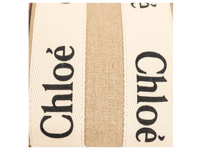 Bolso Tote Chloé Small Woody Multicolor - vista 5