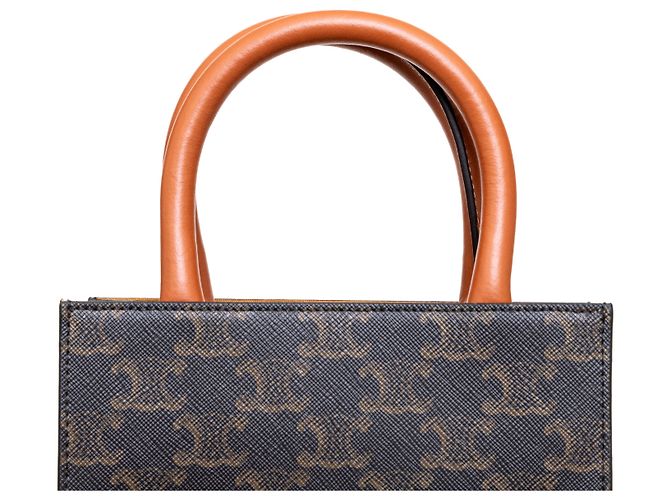 Triomphe Céline Celine Mini Vertikaler Cabas Tote Mehrfarben - Ansicht 5