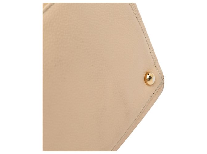Borsa Cerf Executive Media Marrone di Chanel Beige - vista 15