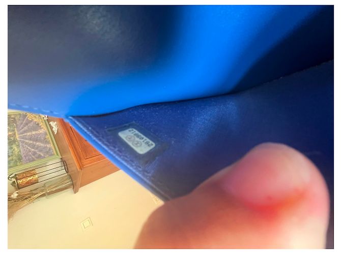 Chanel Wallet On Chain in pelle cavia blu - vista 9