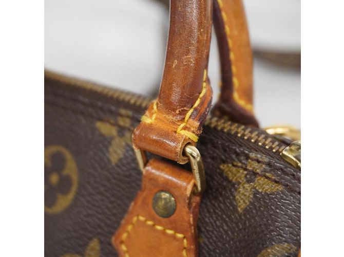 Borsa a mano Speedy Monogram Louis Vuitton Marrone Monogramma - vista 6