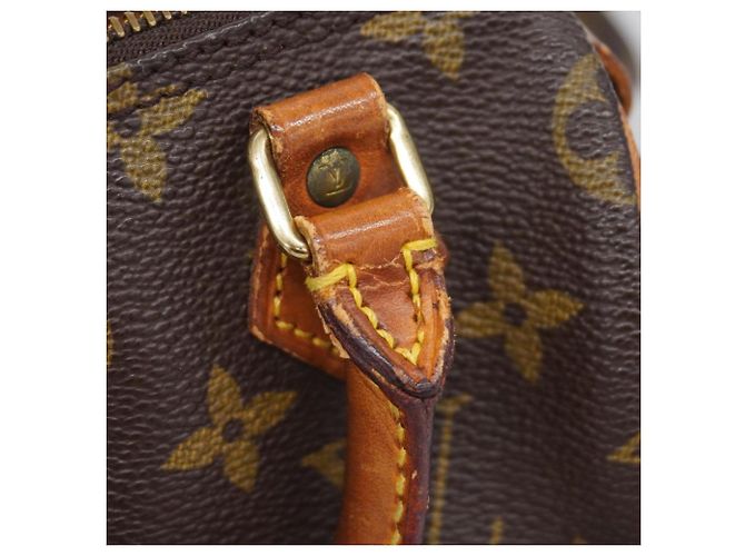 Borsa a mano Speedy Monogram Louis Vuitton Marrone Monogramma - vista 7
