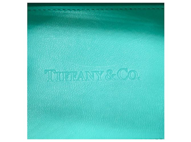 Borsa a spalla 2WAY Cat Street di Tiffany & Co. Blu - vista 13