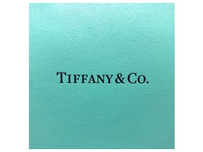 Borsa a spalla 2WAY Cat Street di Tiffany & Co. Blu - vista 7