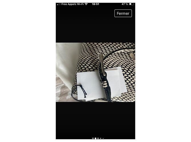 Isabel Marant Etoile Handtasche aus Python Leder Python drucken - Ansicht 6