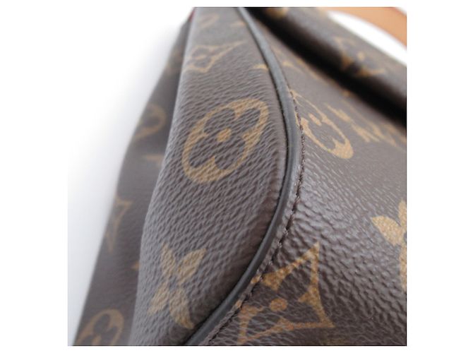 Borsa a Spalla Cluny BB di Louis Vuitton Marrone - vista 10