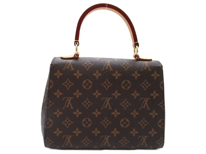 Borsa a Spalla Cluny BB di Louis Vuitton Marrone - vista 2