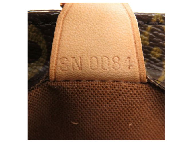 Borsa a mano Monogram Panda Vavin PM di Louis Vuitton Marrone - vista 10