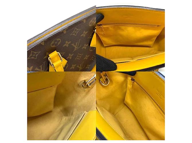 Borsa Phoenix PM Louis Vuitton Marrone Giallo Monogramma - vista 5