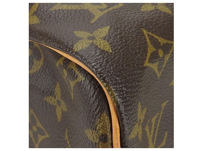 Speedy Borsa a mano in tela Monogram Louis Vuitton Marrone - vista 5