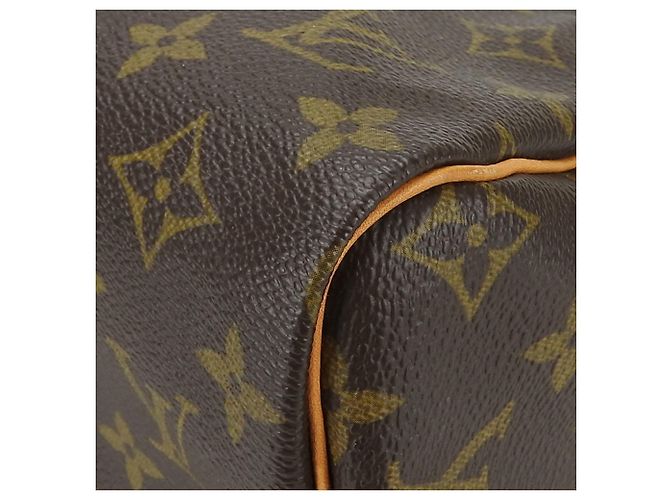 Speedy Borsa a mano in tela Monogram Louis Vuitton Marrone - vista 6