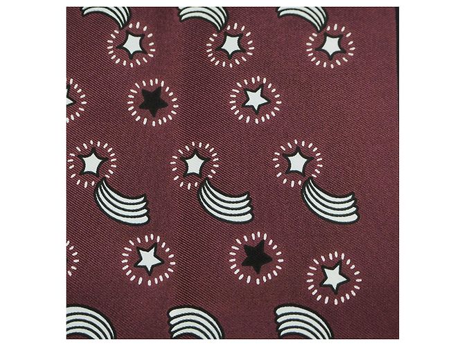 Silk In Hermès Écharpe Carré Petit Care Édition Limitée Hermes Bordeaux - vue 5