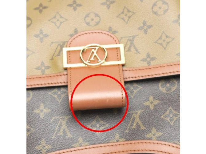 Borsa a Spalla Dauphine Monogram Reverse Louis Vuitton Marrone - vista 9
