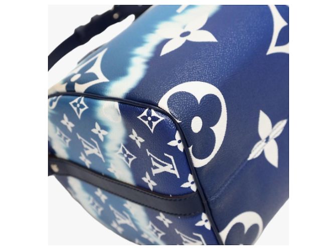 Speedy Borsa a spalla blu Louis Vuitton - vista 10