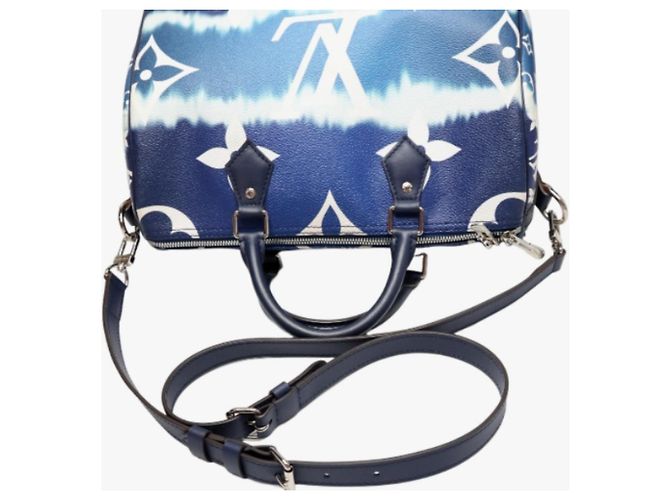 Speedy Borsa a spalla blu Louis Vuitton - vista 12