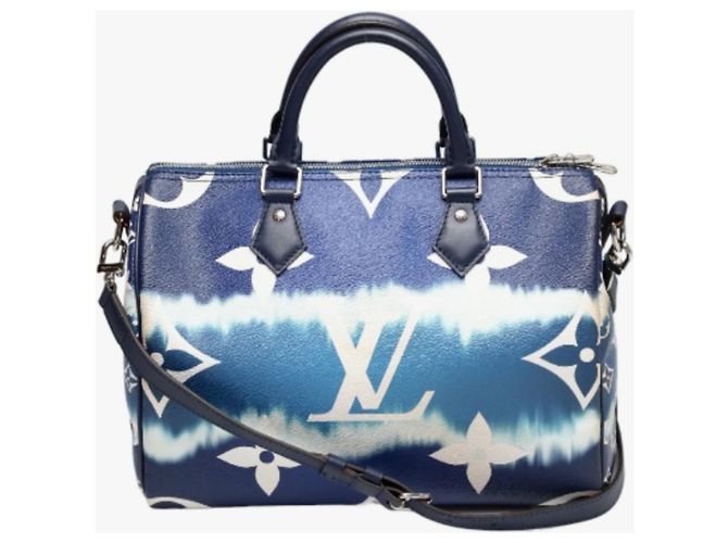 Speedy Borsa a spalla blu Louis Vuitton - vista 2