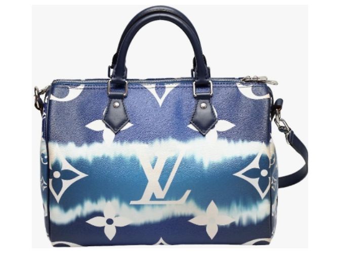Speedy Borsa a spalla blu Louis Vuitton - vista 3
