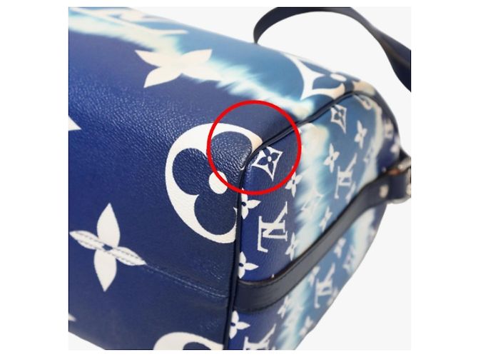 Speedy Borsa a spalla blu Louis Vuitton - vista 9