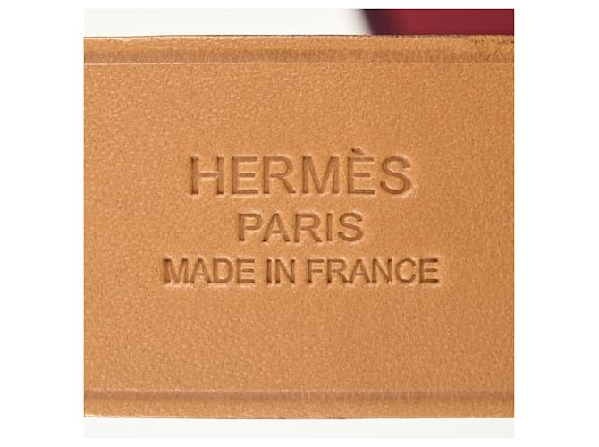 Hermès Borsa Hermes Cabag Elan Porpora Viola scuro - vista 6