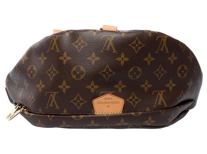 Borsa LOUIS VUITTON Bum / Borsa a Cintura in Tela Marrone - 102009 - vista 10