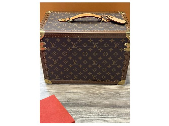 Borsa da viaggio Louis Vuitton Beauty Farm Marrone in tela - vista 3