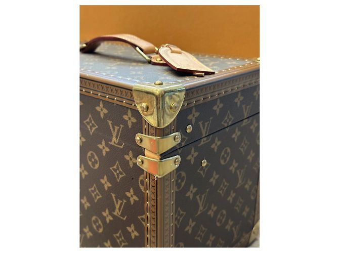 Borsa da viaggio Louis Vuitton Beauty Farm Marrone in tela - vista 4