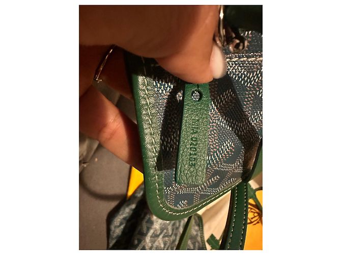 Saint Louis Goyard Pm - vue 11