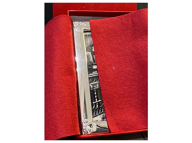 Cornice Foto Cartier Panther Argento 925 Silver hardware - vista 5
