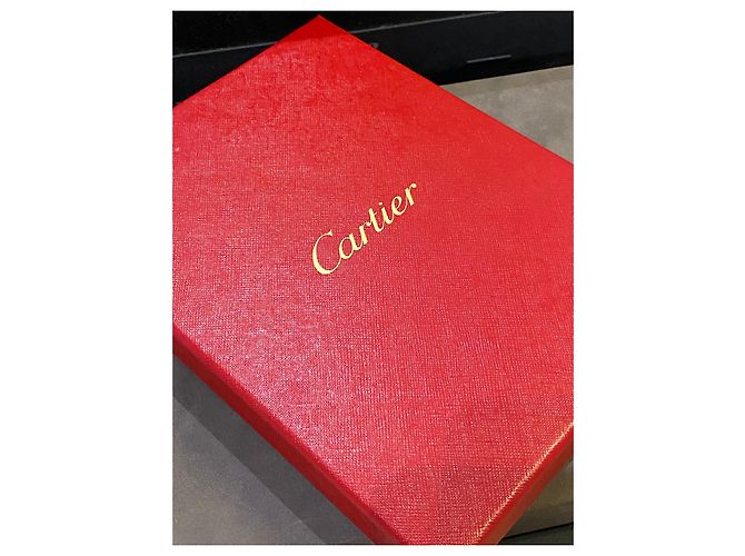 Cornice Foto Cartier Panther Argento 925 Silver hardware - vista 6