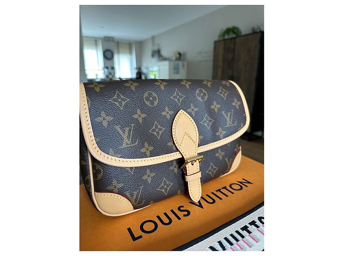 Neverfull Borsa Louis Vuitton Diane marrone in pelle - vista 3