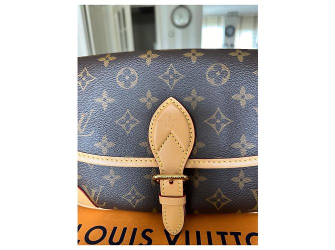 Neverfull Borsa Louis Vuitton Diane marrone in pelle - vista 4