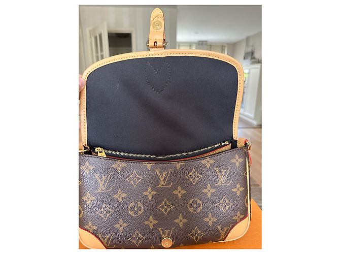 Neverfull Borsa Louis Vuitton Diane marrone in pelle - vista 5