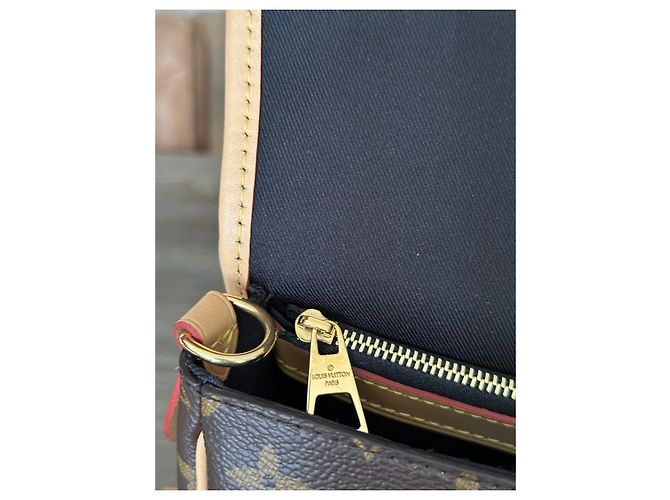 Neverfull Borsa Louis Vuitton Diane marrone in pelle - vista 6