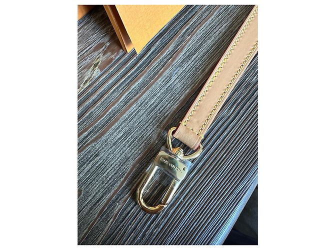 Neverfull Borsa Louis Vuitton Diane marrone in pelle - vista 8